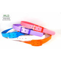 Simple Style Colorful Children′s Plastic Belt (KY3946)